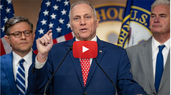 Scalise: We Must Protect the Integrity of the American Vote