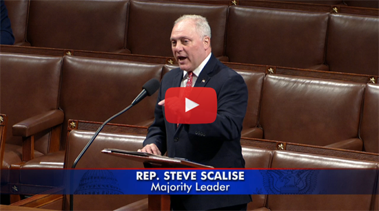 Scalise: H.R. 2 Will Secure the Southern Border