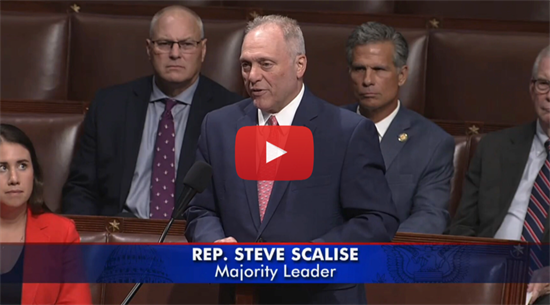 Speaking on the house floor on recission package